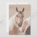 Search for horse cards Typography