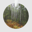 Search for national christmas tree decorations Nature