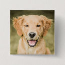 Search for puppies badges Outdoors