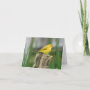 Search for canary bird cards Pet