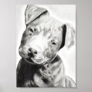 Search for pit bull puppy posters Animal