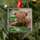 Search for cow christmas tree decorations Calf