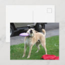 Search for hits postcards Friend