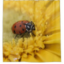 Search for ladybug shower curtains Flower