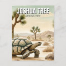 Search for mojave desert postcards Travel