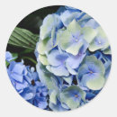 Search for theodore stickers America