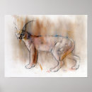 Search for arabian posters Wildcat