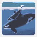 Search for state of origin stickers Orca
