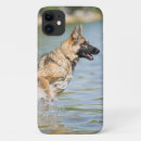 Search for leap cases Animal
