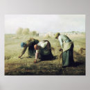 Search for millet Farming
