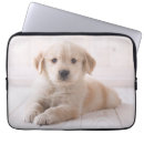 Search for feature electronics Cute