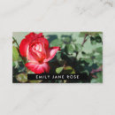 Search for red rose business cards Flowers