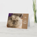 Search for sad cards Bunny