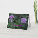 Search for lavendar cards Purple