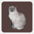 Search for siamese cats stickers Animals