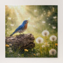 Search for bluebird puzzles Songbird