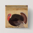 Search for turkey accessories Feathers