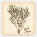 Search for thyme stickers Cooking