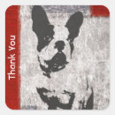 Search for boston terrier stickers Cute