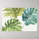 Search for green palm leaf posters Fronds