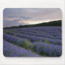 Search for fields mousepads Lavender
