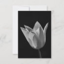 Search for tulips thank you cards Stylish