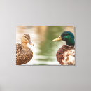 Search for dabble art Wildlife