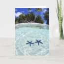 Search for sea star cards Starfish