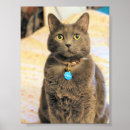 Search for russian blue cat art Pet