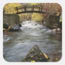 Search for aspen tree stickers Yellow