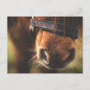 Search for browns postcards Equine
