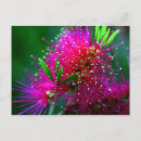 Search for neon flowers postcards Colourful