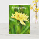 Search for dandelion birthday cards Nature