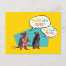 Search for cute rats postcards Pets