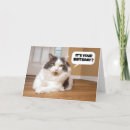 Search for tuna cards Animal