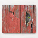 Search for old barn mousepads Wood