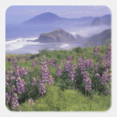 Search for lupine stickers Landscape