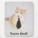 Search for funny lawyer electronics Cats