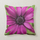 Search for daisy cushions Photography