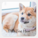 Search for coffee photo stickers Cute
