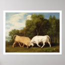 Search for oil panel posters Stubbs
