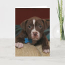 Search for sad miss you puppy postcards Animals