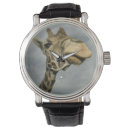 Search for wildlife watches Giraffe