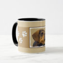 Search for wirehaired dachshund mugs Puppy