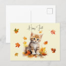 Search for kitten postcards Cat lover