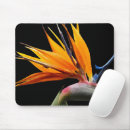 Search for black bird mousepads Botanical