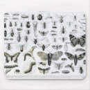 Search for zoology mousepads Beetle