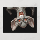 Search for halloween graphics postcards Bat