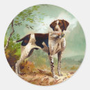 Search for pet bird stickers Vintage