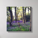 Search for bluebell canvas prints Forest